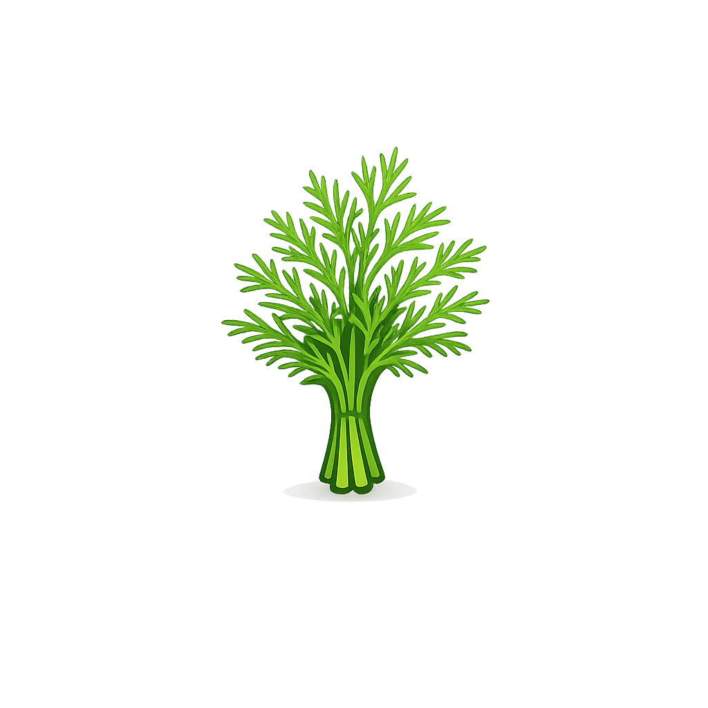 Укроп свежий