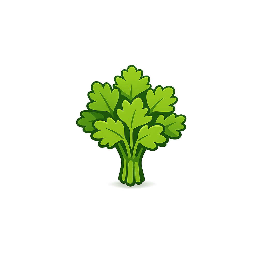 Свежая кинза 